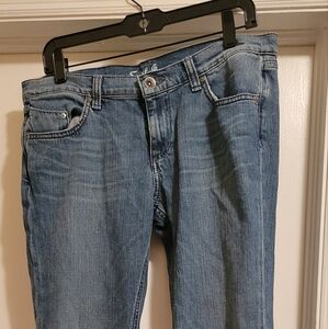 Earl Jeans Dame Style Blue Jeans - Straight Leg Size 31 x 34